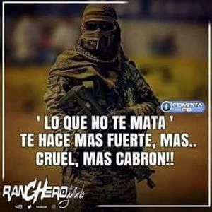 Meet your Posher, Manuel